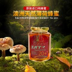 澳大利亚进口蜂蜜TACY塔丝薄荷蜂蜜500g